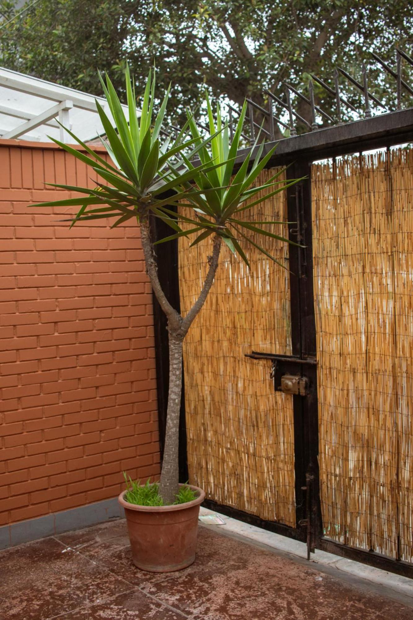 Temazcal Hostel Лима Екстериор снимка