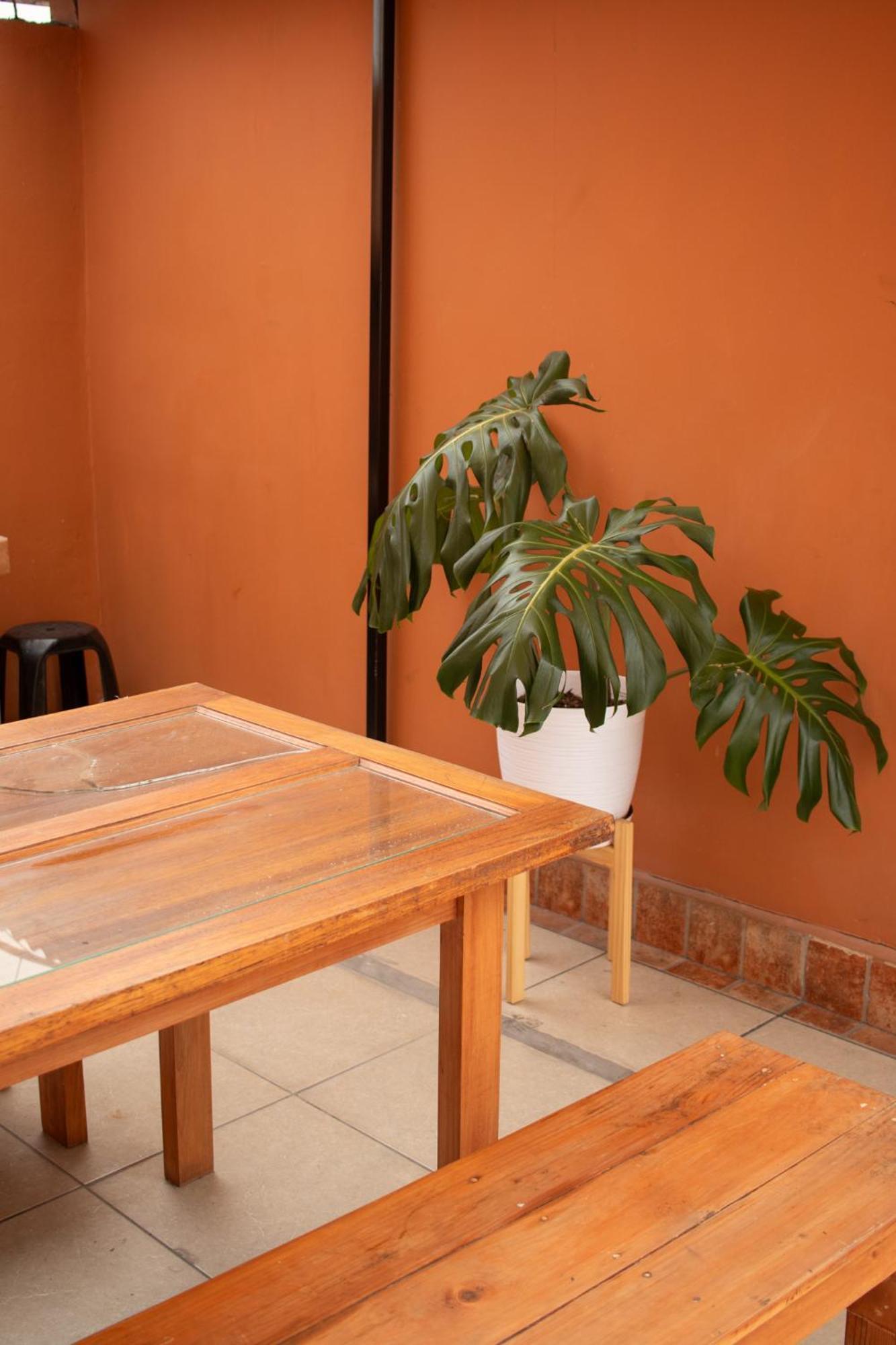 Temazcal Hostel Лима Екстериор снимка